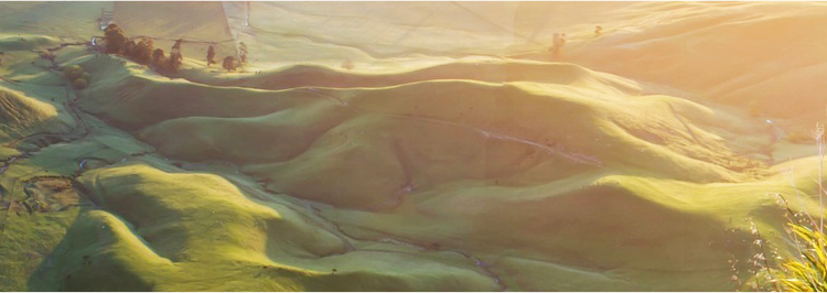 多乐游戏帐号注册