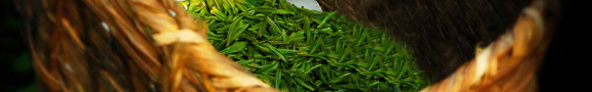 多乐游戏帐号注册