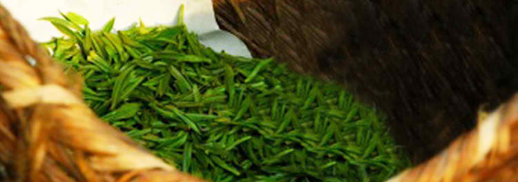 多乐游戏帐号注册