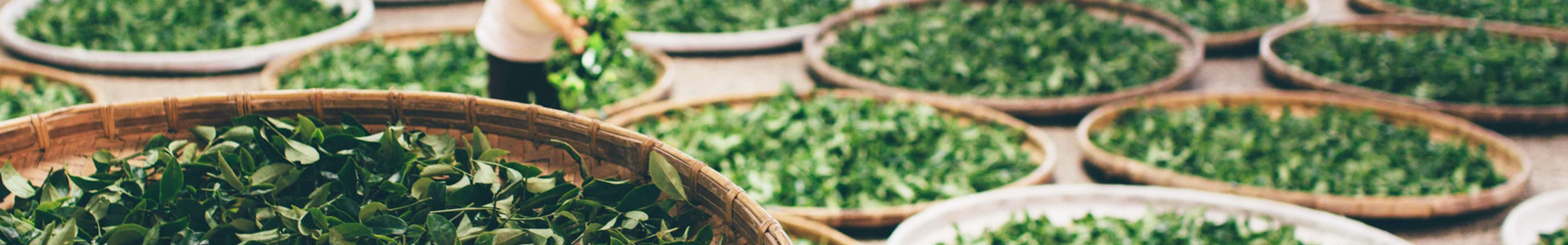 多乐游戏帐号注册